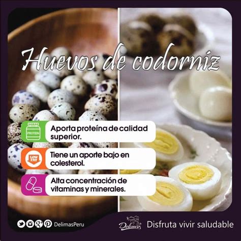 Huevo De Codorniz Propiedades Beneficiosas Para La Salud