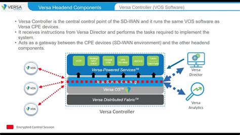 Sdwan Module 2 Versa Sd Wan Basics Networks Headend Component And