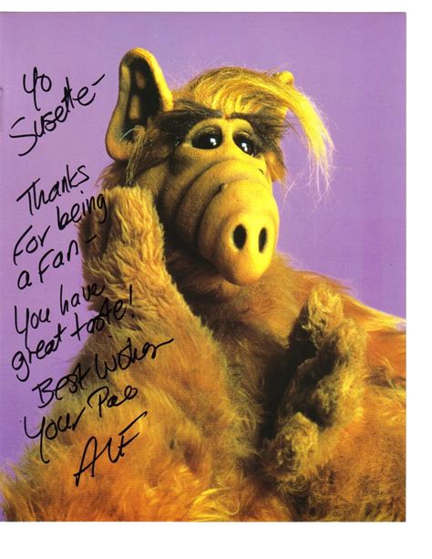 143 Best Images About Alf The Series On Pinterest Aliens Nbc Tv And