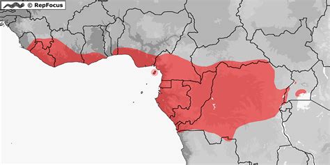 Distribution Of Bothrophthalmus RepFocus