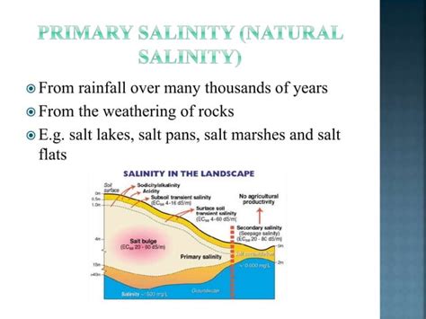 salinity  types  salinity pptx agriculture industries