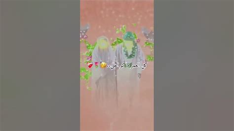 اجمل حالات واتساب زواج نورين💍💐 زواج الامام علي وفاطمه الزهراء