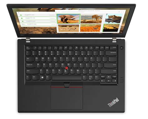 Lenovo Thinkpad T480 Especificaciones Pruebas Y Precios Laptopmedia España