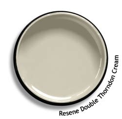 resene double thorndon cream hex cdcb rgb    swatch