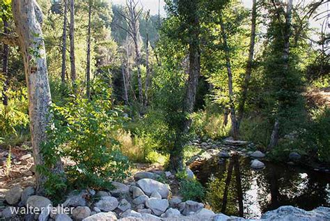 West Fork Mojave River