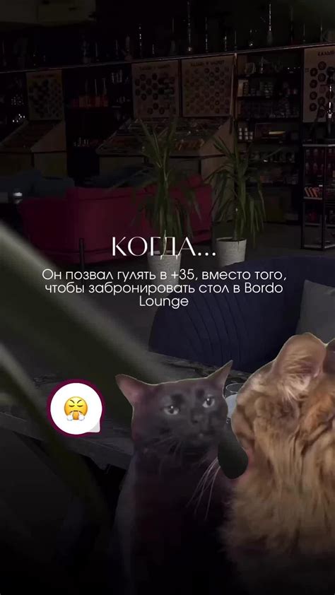 Игра для сторис | бар | Брендинг ресторана, Ресторан, Бар