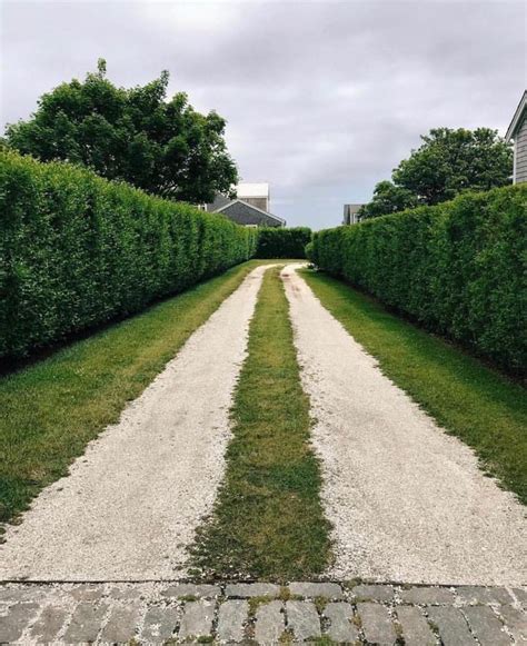 Crushed Seashell Driveway Driveway Landscaping White Gravel Dream Beach Houses