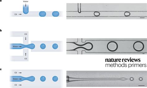 Nature Reviews Methods Primers On Twitter This Weeks Primer Discusses