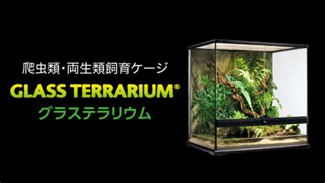 グラステラリウム 爬虫類情報 爬虫類用品・エキゾ テラのジェックス