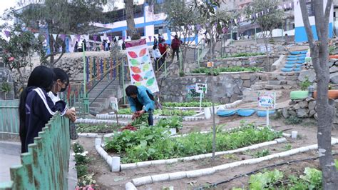 Feria agroecológica con productos de su biohuerto realizó ie 7087 el