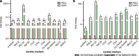 Figure 3 from Wnt signaling pathway inhibitor promotes mesenchymal stem ...