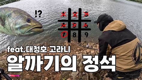 알자리 배스 공략 속성 강의 Youtube