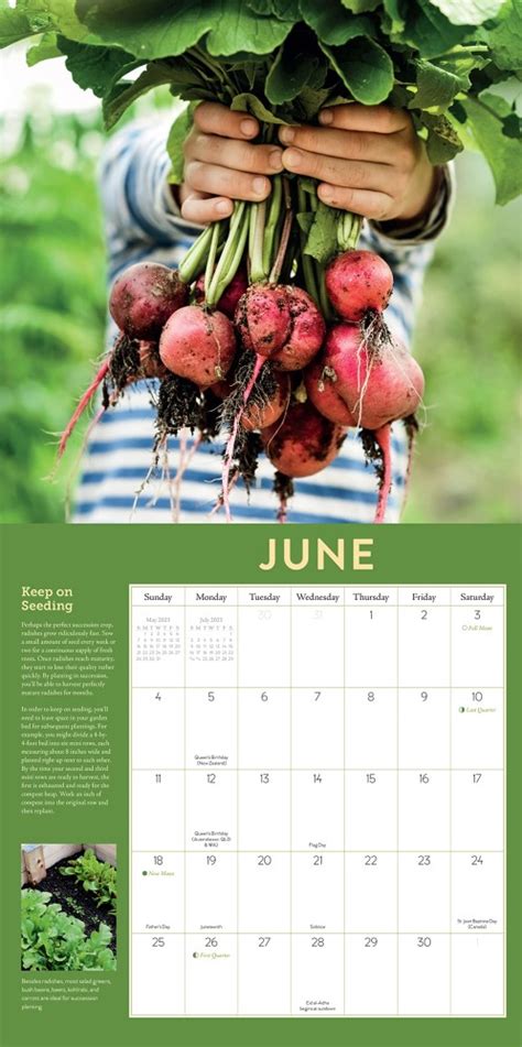 The Year Round Vegetable Gardener 2023 Wall Calendar By Niki Jabbour