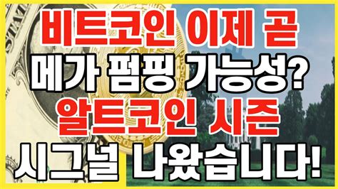 비트코인 메가 펌핑 알트코인 시즌 시그널 나왔습니다 크립토 블라블라 Youtube