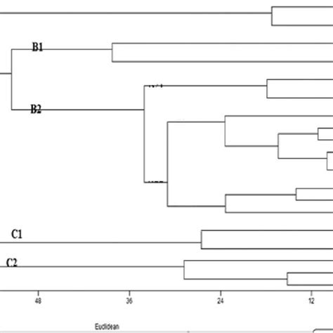 Upgma Dendrogram Based On The Similarity Of The Chemical Composition Of