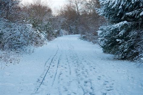 Free photo: Germany, Bavaria, Landscape, Snow - Free Image on Pixabay ...