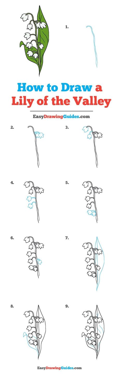 How To Draw A Lily Of The Valley Really Easy Drawing Tutorial