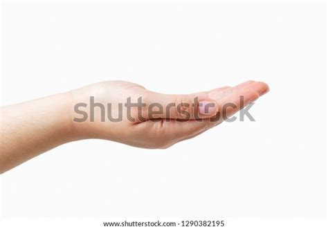 Woman Hand Palm Isolated On White Stock Photo 1290382195 Shutterstock