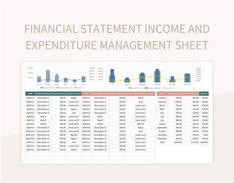 Financial Statement Income And Expenditure Management Sheet Excel