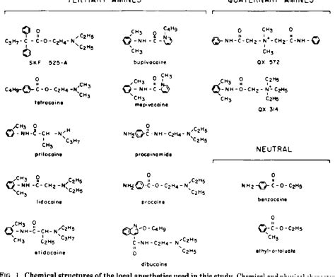 Figure 1 from Spontaneous calcium release from sarcoplasmic reticulum ...