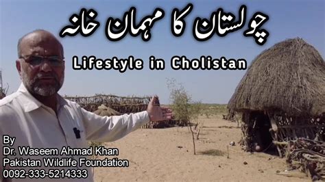 Cholistan Lifestyle Cholistan Ka Mehman Khana Building Structure In