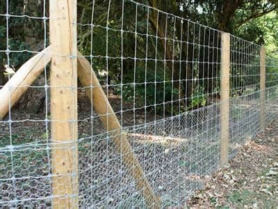 Chicken Wire For Poultry Breeding Crops Protection