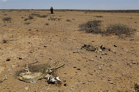 Monde Famine Au Soudan Du Sud Les Ong Redoutent Une Catastrophe