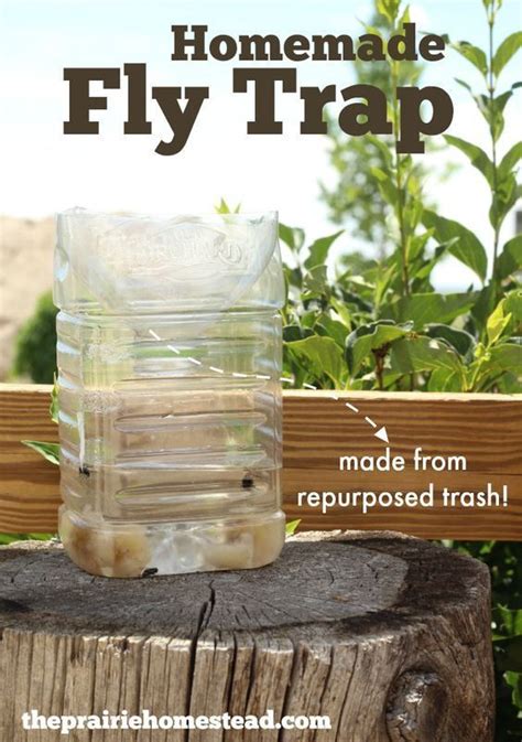 The 35 Best Ideas for Diy Fly Trap Outdoor - Home, Family, Style and ...