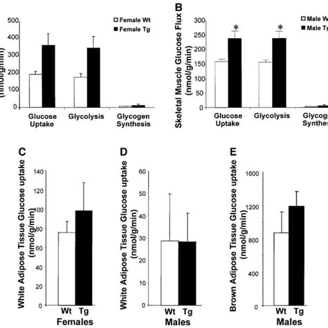 Syn4 Transgenic Mice Show Increases In Skeletal Muscle Glucose Uptake