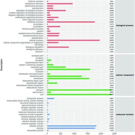 Gene Ontology GO Classification Of DEGs At 48 H The X Axis