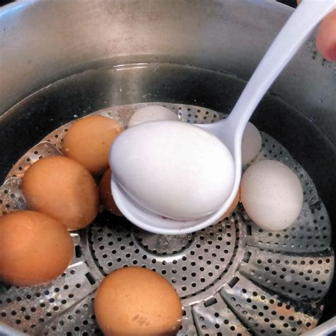 Pasteurize Eggs 5 Steps With Pictures Instructables