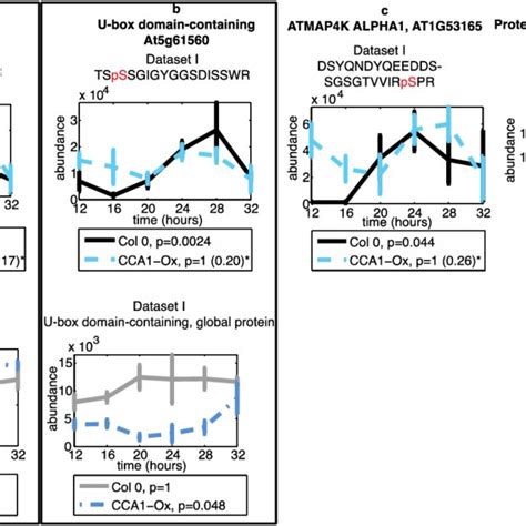 Rhythmic Kinases JTK CYCLE P Values When Allowing Shorter Periods