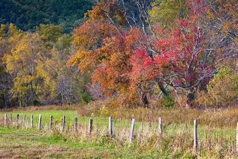 TripAdvisor Names Gatlinburg Fall Colors Among Top 10 in the Nation