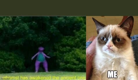 Image Tagged In Whomst Has Awakened The Ancient Onememesgrumpy Cat