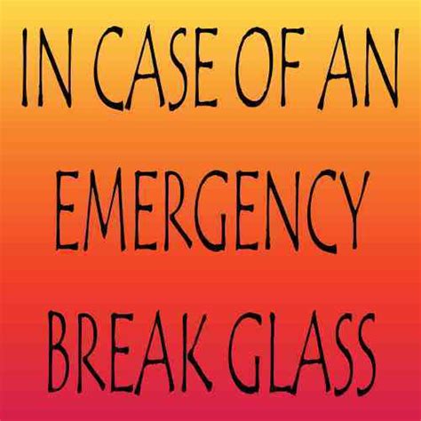 3inx3in In Case Of An Emergency Break Glass Sticker Vinyl Funny Jar Decal