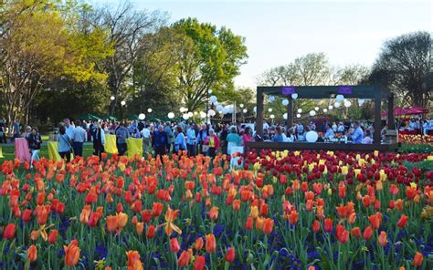 Events & Activities | Dallas Arboretum and Botanical Garden