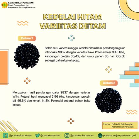 Kedelai Hitam Varietas Detam