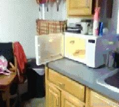 Microwave GIF - Find & Share on GIPHY