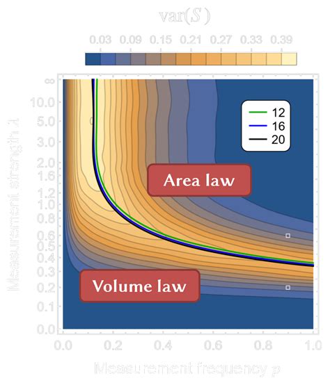 Measurement Induced Entanglement Transitions Dr Marcin Szyniszewski