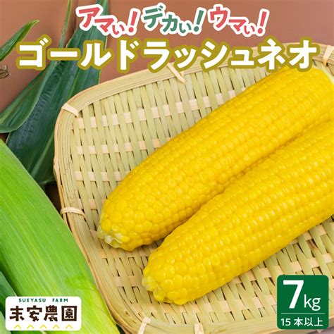 朝採れを直送！スイートコーン【ゴールドラッシュネオ】7kg（15本以上） お礼の品のご紹介 福岡県久留米市ふるさと納税特設サイト