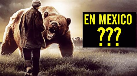 El Oso Grizzly Mexicano Est Realmente Extinto Desc Brelo Aqu Youtube