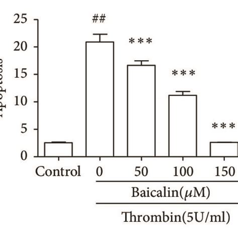 Effects Of Baicalin On Cell Survival And Apoptosis After Thrombin