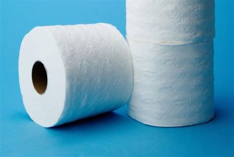 What Did People Use Before Toilet Paper Toilet Paper Ancient Romans