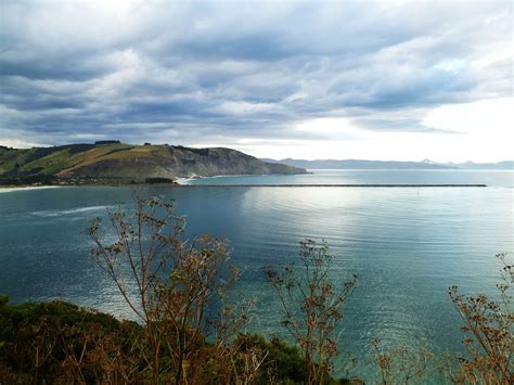 I Can't Feel My Toes - Penguins at Otago Peninsula, NZ