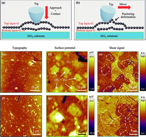 AFM Characterization Of The CVD Grown Bilayer Graphene Film Transferred