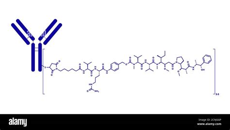 Brentuximab Vedotin Antibody Drug Conjugate Molecule Consists Of