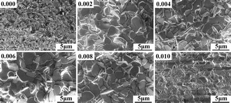 The FE SEM Surface Micrographs Of SBTxSm Ceramics Sintered At 1160 C