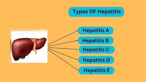 Understanding Hepatitis: Types, Causes, and Prevention - drchetankalal