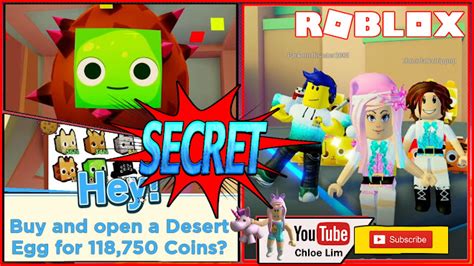 Roblox Pet Simulator 2 Gameplay All Secret Chest Spawning Areas