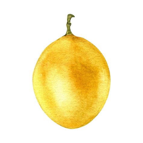 Premium Photo Passion Fruit Watercolor Illustration Isolated On White